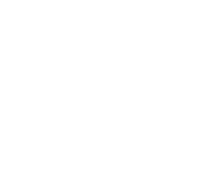 Psimetría laboral